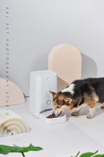 一組寵物生活類智能產(chǎn)品拍攝